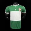Palmeiras 2014-15 Centennial Edition Green Retro Jersey