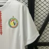 Senegal 2025-26 Home Jersey Fan Version - Image 3