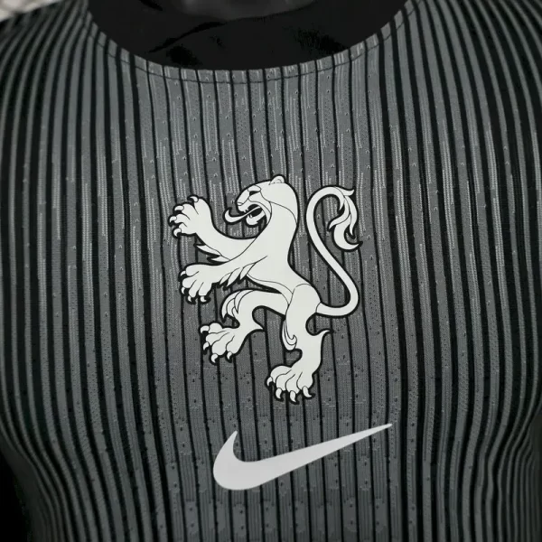 Netherlands 2025-26 Goalkeeper Jersey Player Version - Image 5