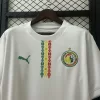 Senegal 2025-26 Home Jersey Fan Version - Image 6