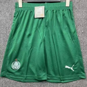 Palmeiras 2025-26 Away Shorts