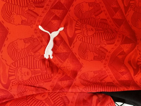 Egypt 2025-26 Home Jersey Fan Version - Image 7