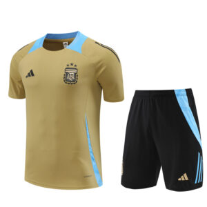 Argentina 2024-25 Gold Short Sleeve Training Kit