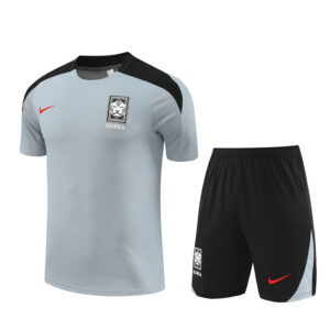 Korea 2024-25 Grey Short Sleeve Training Kit