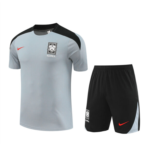 Korea 2024-25 Grey Short Sleeve Training Kit