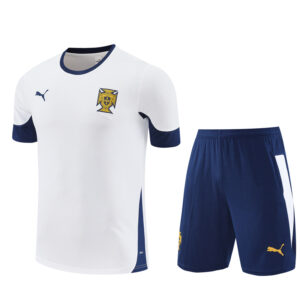 Portugal 2025-26 White Short Sleeve Training Kit