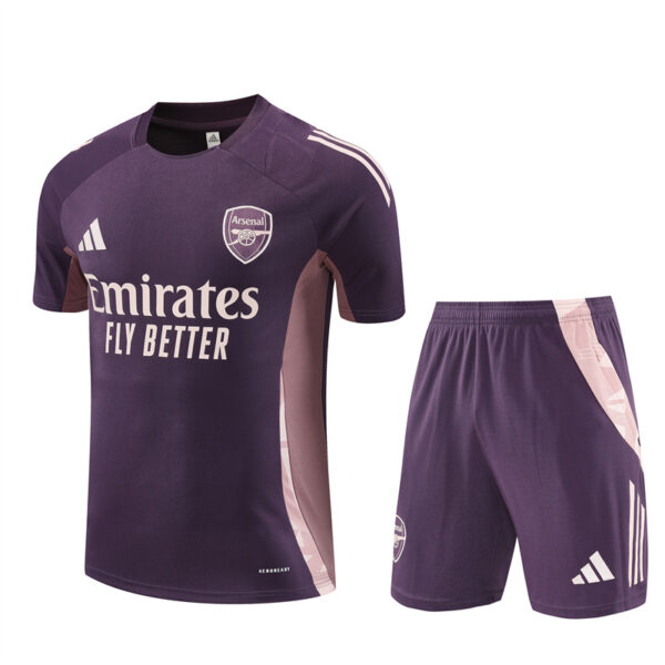 Arsenal 2024-25 Purple Short Sleeve Training Kit