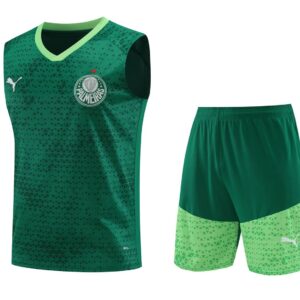 Palmeiras 2024-25 Green Vest Training Kit