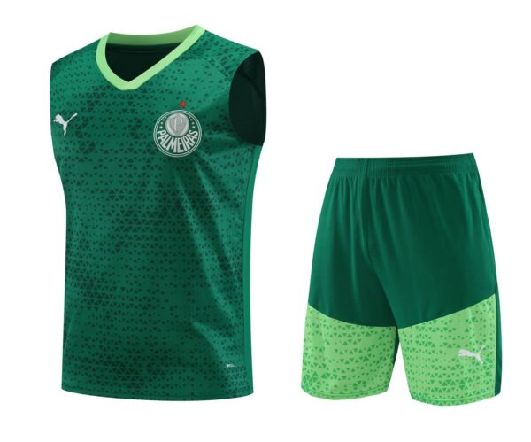Palmeiras 2024-25 Green Vest Training Kit