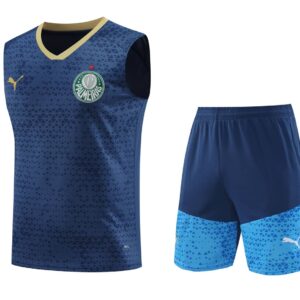 Palmeiras 2024-25 Navy Vest Training Kit