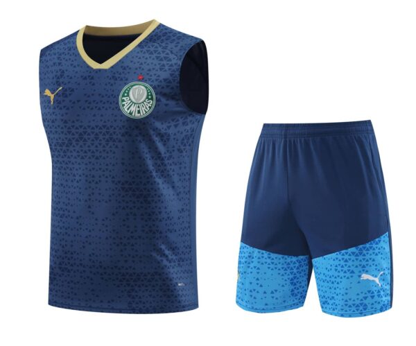 Palmeiras 2024-25 Navy Vest Training Kit
