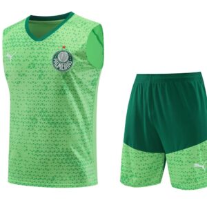 Palmeiras 2024-25 Light Green Vest Training Kit