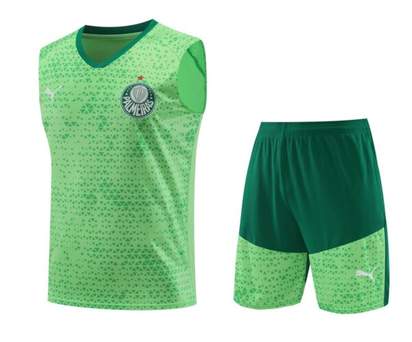 Palmeiras 2024-25 Light Green Vest Training Kit