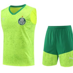 Palmeiras 2024-25 Neon Yellow Vest Training Kit