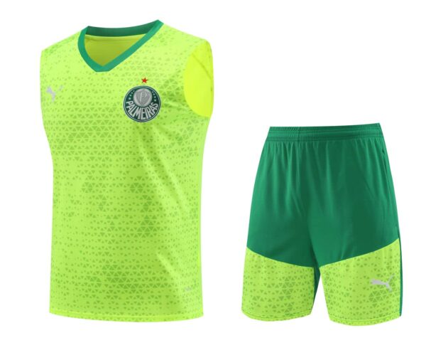Palmeiras 2024-25 Neon Yellow Vest Training Kit