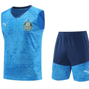 Palmeiras 2024-25 Sky Blue Vest Training Kit