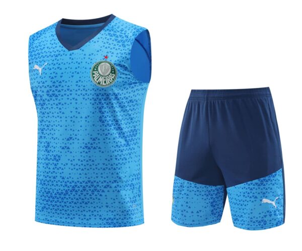 Palmeiras 2024-25 Sky Blue Vest Training Kit