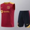 Barcelona 2024-25 Red and Yellow Vest Training Kit