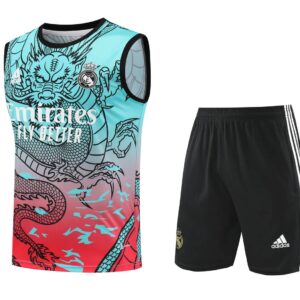 Real Madrid 2024-25 Dragon Cyan-Red Vest Training Kit