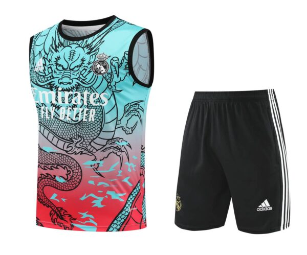 Real Madrid 2024-25 Dragon Cyan-Red Vest Training Kit