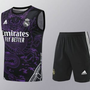 Real Madrid 2024-25 Purple Dragon Vest Training Kit