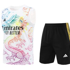 Real Madrid 2024-25 Rainbow Dragon Vest Training Kit