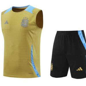 Argentina 2024-25 Gold Vest Training Kit