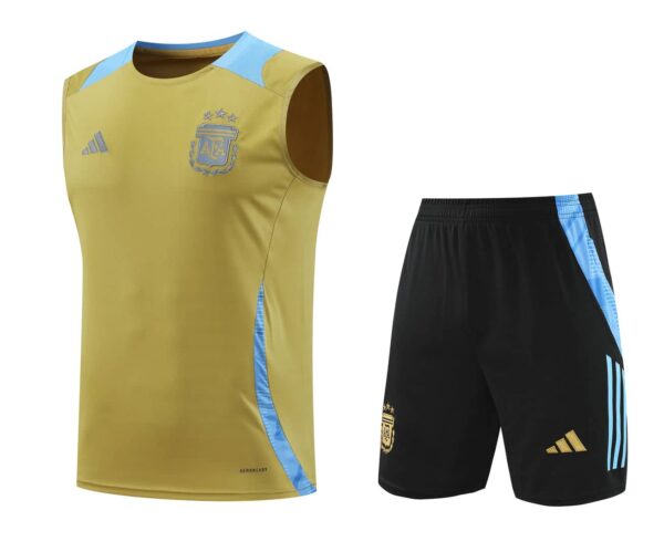 Argentina 2024-25 Gold Vest Training Kit