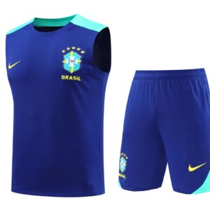 Brazil 2024-25 Blue and Green Vest Training Kit