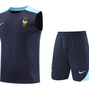 France 2025-26 Blue and Light Blue Vest Training Kit