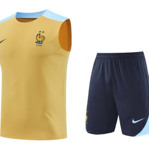 France 2025-26 Yellow and Blue Vest Training Kit