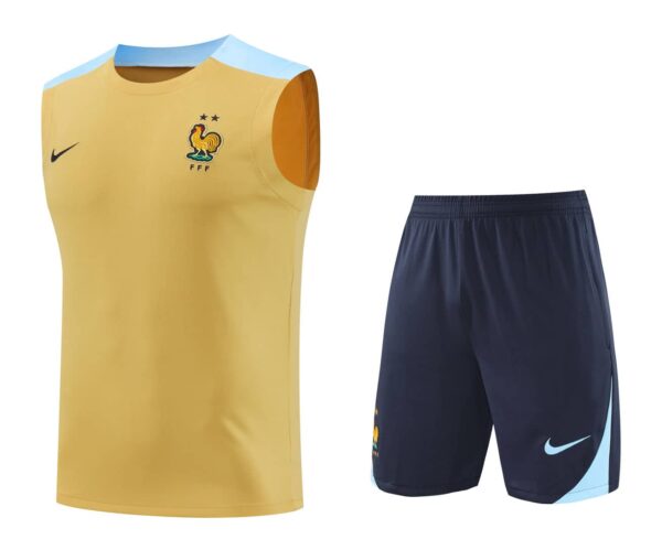 France 2025-26 Yellow and Blue Vest Training Kit