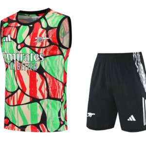 Arsenal 2025-26 Red Green Beige (Pattern Edition) Vest Training Kit