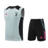 Juventus 2024-25 Light Blue Black Vest Training Kit