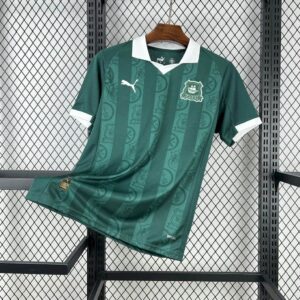 Plymouth Argyle F.C. 2025-26 Home Jersey Fan Version