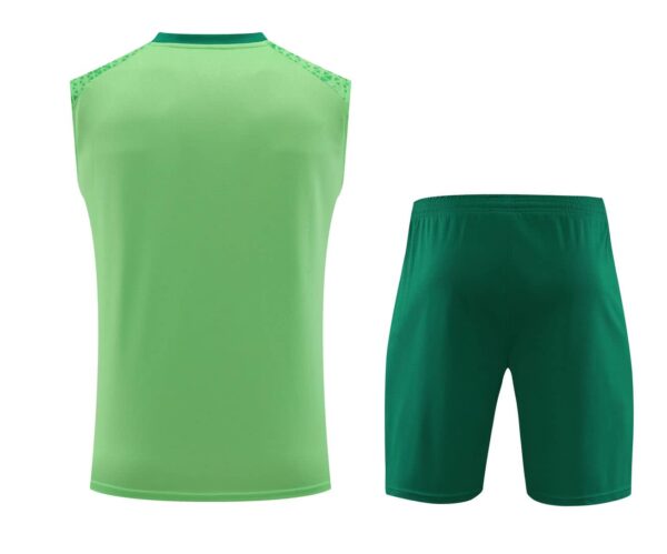 Palmeiras 2024-25 Light Green Vest Training Kit - Image 2