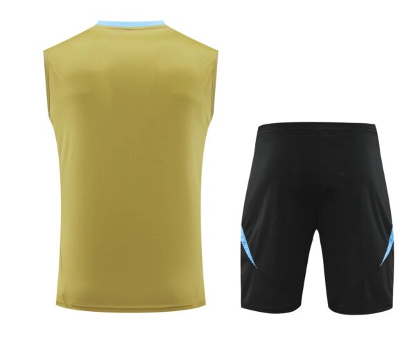 Argentina 2024-25 Gold Vest Training Kit - Image 2