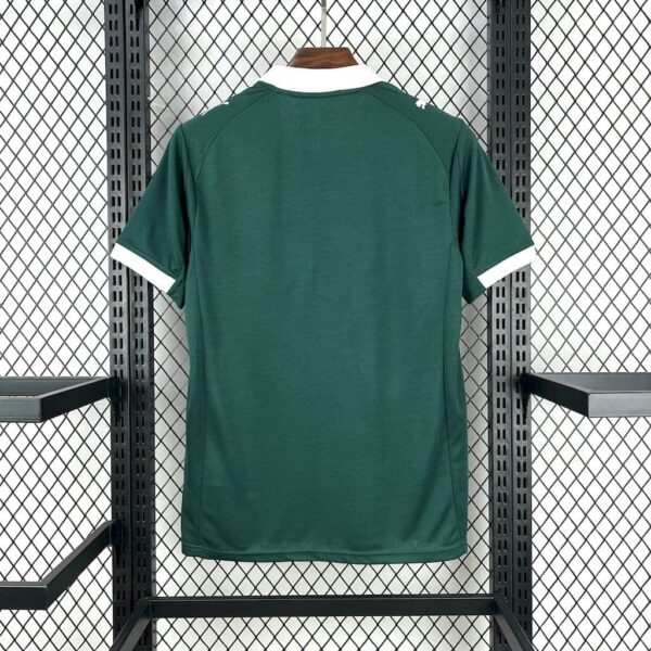 Plymouth Argyle F.C. 2025-26 Home Jersey Fan Version - Image 2