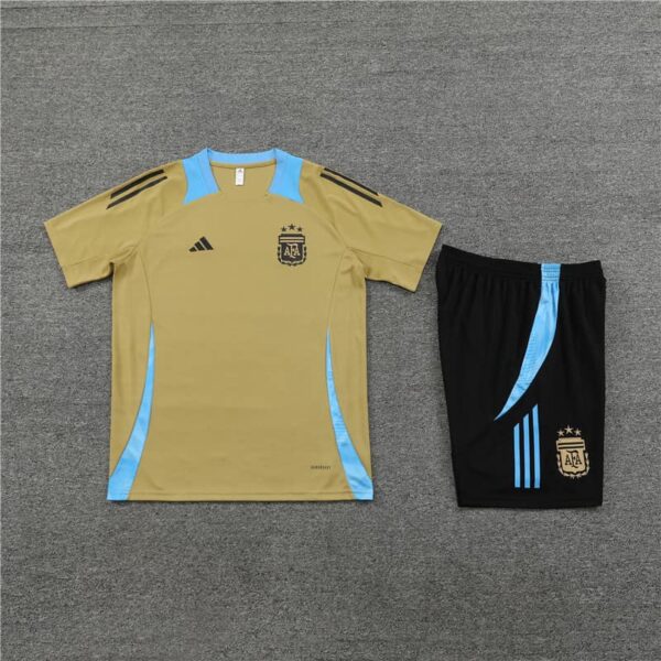 Argentina 2024-25 Gold Short Sleeve Training Kit - Image 3