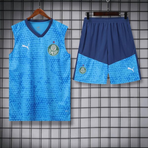 Palmeiras 2024-25 Sky Blue Vest Training Kit - Image 3