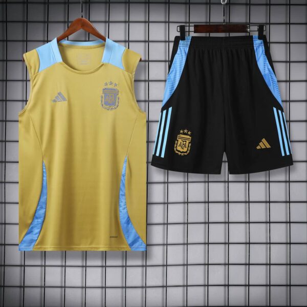 Argentina 2024-25 Gold Vest Training Kit - Image 3