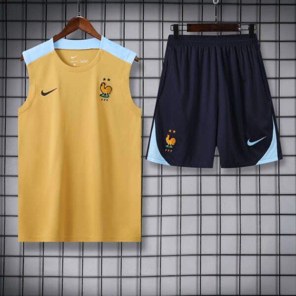 France 2025-26 Yellow and Blue Vest Training Kit - Image 3