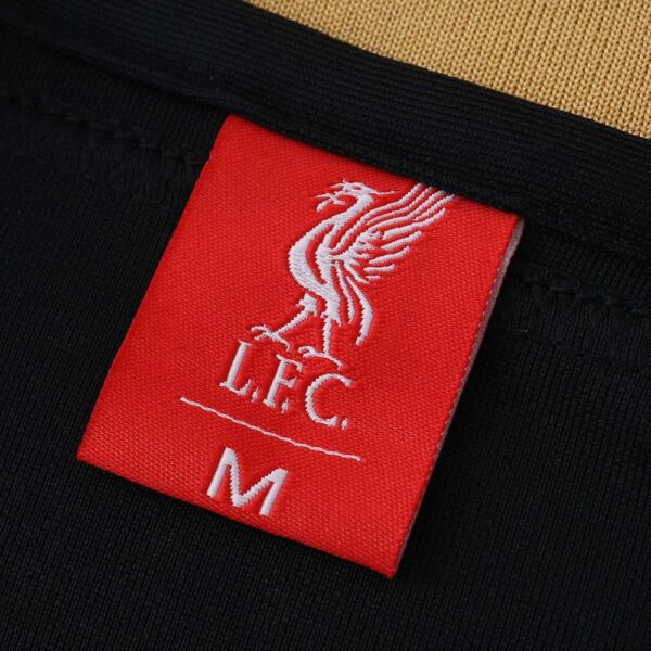 Liverpool 2025-26 Concept Jersey - Image 3
