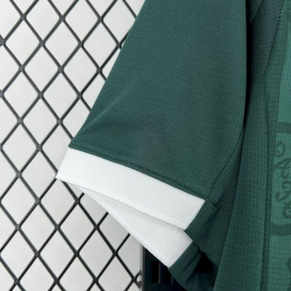 Plymouth Argyle F.C. 2025-26 Home Jersey Fan Version - Image 3