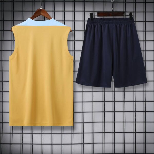 France 2025-26 Yellow and Blue Vest Training Kit - Image 4