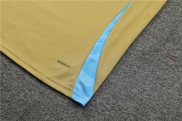 Argentina 2024-25 Gold Short Sleeve Training Kit - Image 5