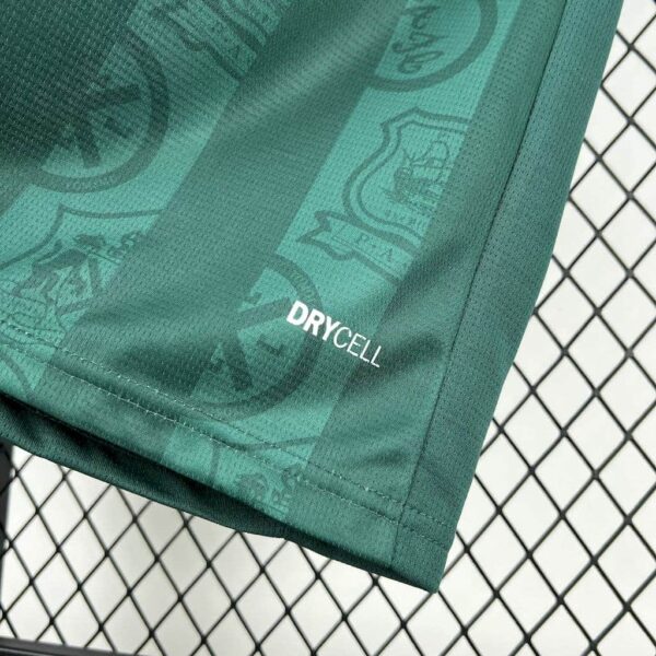 Plymouth Argyle F.C. 2025-26 Home Jersey Fan Version - Image 5