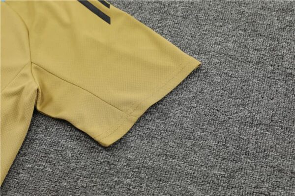 Argentina 2024-25 Gold Short Sleeve Training Kit - Image 6
