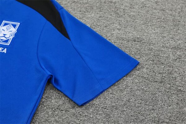 Korea 2024-25 Rainbow Blue Short Sleeve Training Kit - Image 6