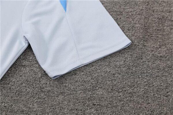 Tottenham Hotspur 2024-25 Light Grey Short Sleeve Training Kit - Image 6